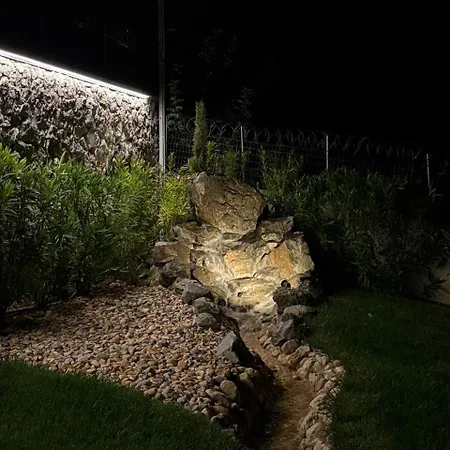 Mz Eternity * 波多河丽