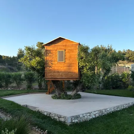 Mz Eternity 别墅 波多河丽